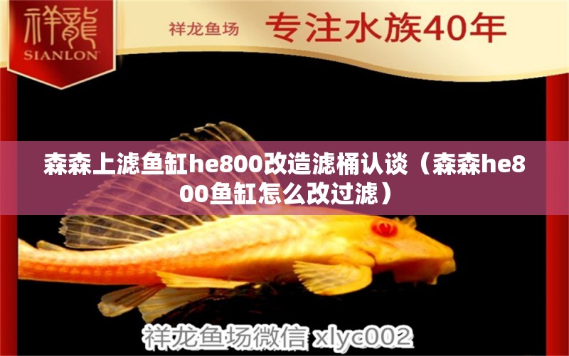 森森上滤鱼缸he800改造滤桶认谈（森森he800鱼缸怎么改过滤）