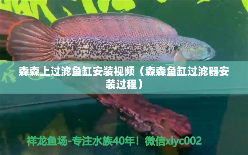 森森上过滤鱼缸安装视频（森森鱼缸过滤器安装过程）