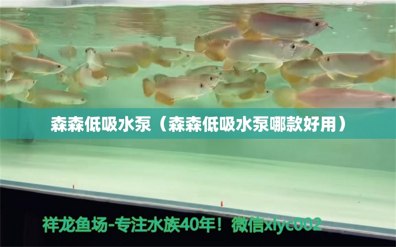 森森低吸水泵（森森低吸水泵哪款好用） 森森鱼缸