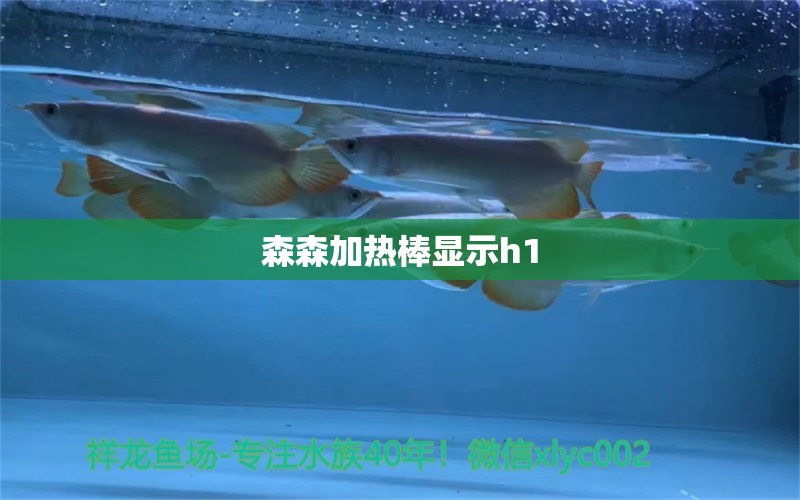 森森加热棒显示h1 森森鱼缸 第2张