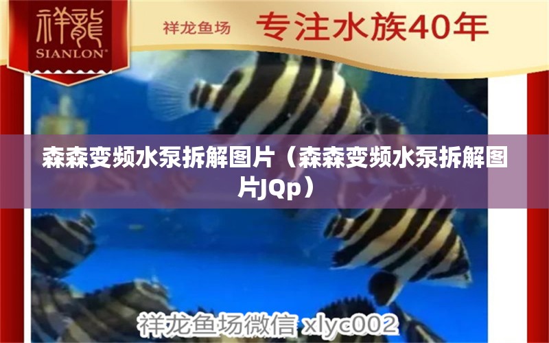 森森变频水泵拆解图片（森森变频水泵拆解图片JQp） 森森鱼缸