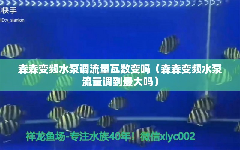 森森变频水泵调流量瓦数变吗（森森变频水泵流量调到最大吗） 过滤设备