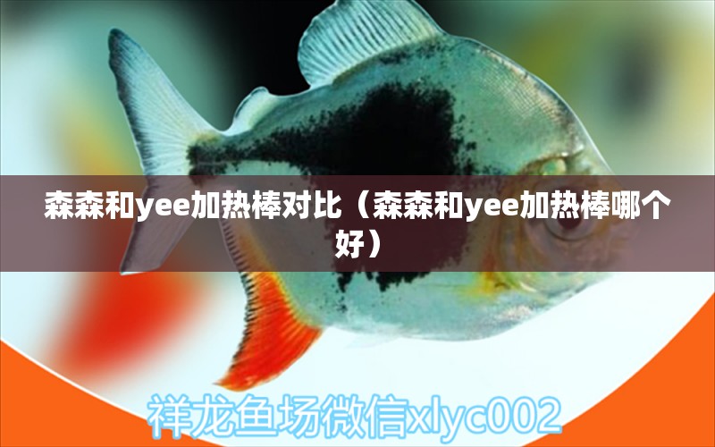 森森和yee加热棒对比（森森和yee加热棒哪个好） yee