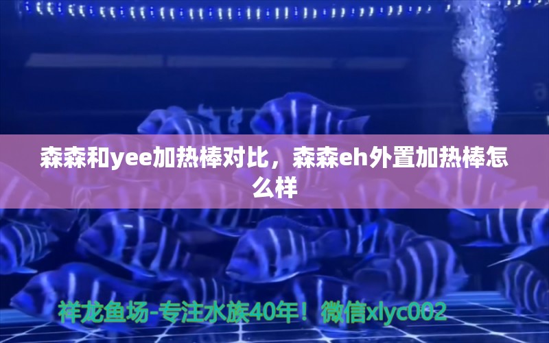 森森和yee加热棒对比，森森eh外置加热棒怎么样 yee