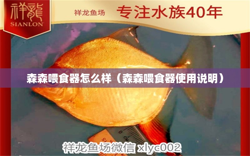 森森喂食器怎么样（森森喂食器使用说明）