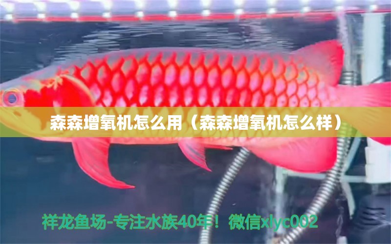 森森增氧机怎么用（森森增氧机怎么样） 森森鱼缸