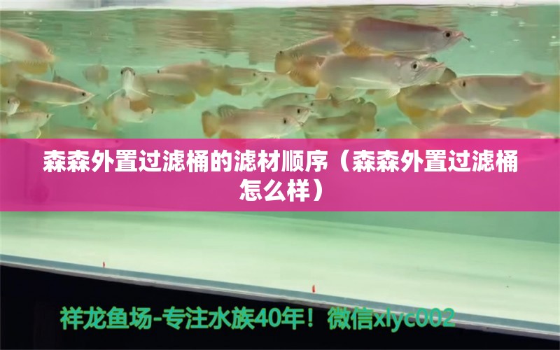 森森外置过滤桶的滤材顺序（森森外置过滤桶怎么样）