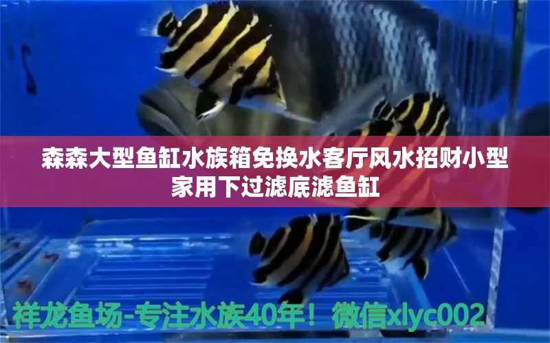 森森大型鱼缸水族箱免换水客厅风水招财小型家用下过滤底滤鱼缸