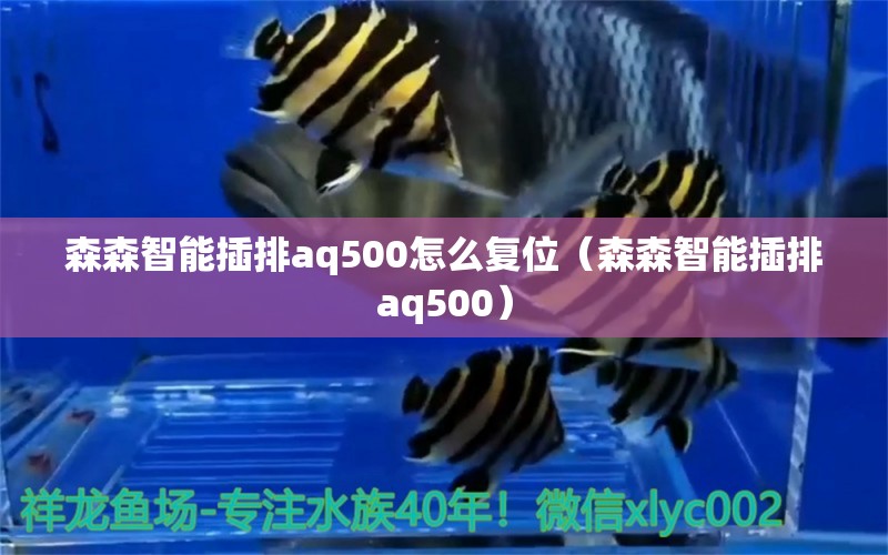 森森智能插排aq500怎么复位（森森智能插排aq500）