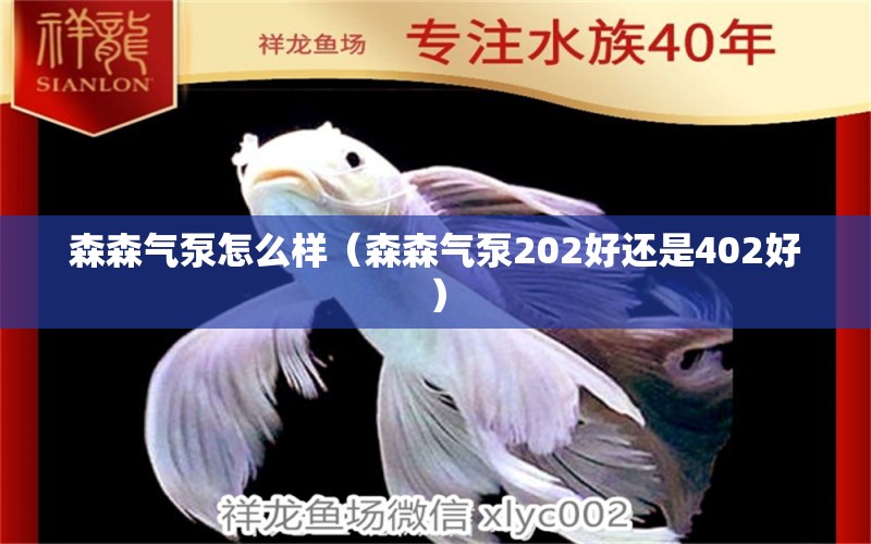 森森气泵怎么样（森森气泵202好还是402好）