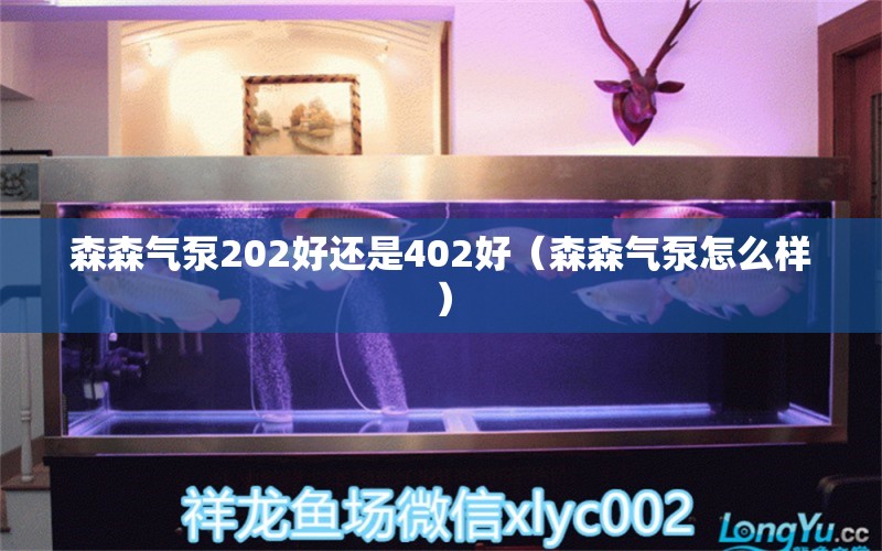 森森气泵202好还是402好（森森气泵怎么样）