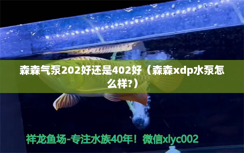 森森气泵202好还是402好（森森xdp水泵怎么样?）