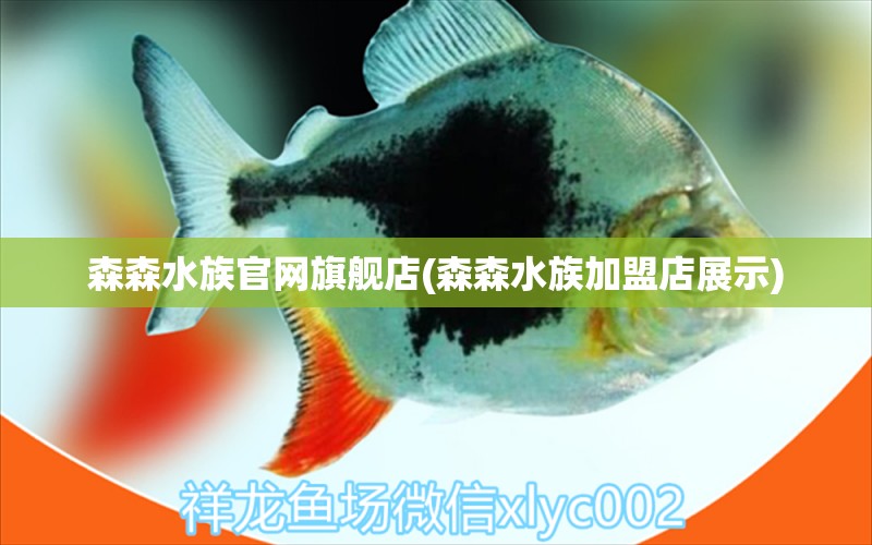 森森水族官网旗舰店(森森水族加盟店展示)