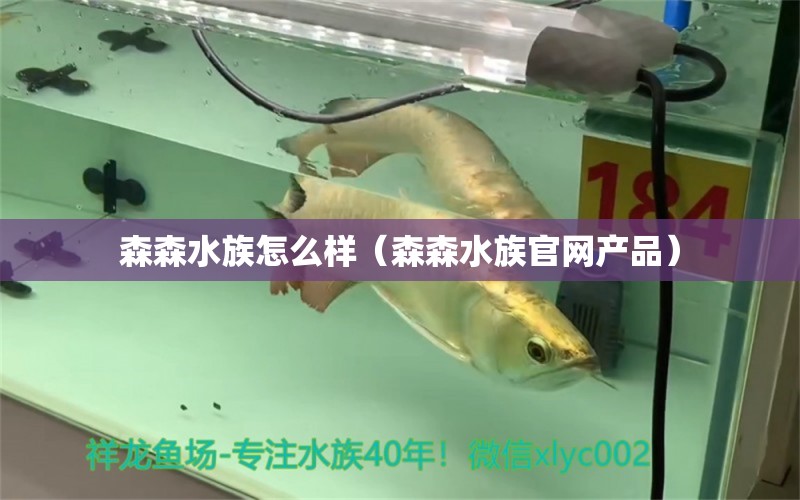 森森水族怎么样（森森水族官网产品） 森森鱼缸