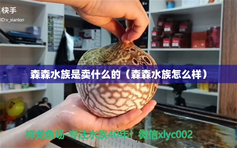 森森水族是卖什么的（森森水族怎么样）