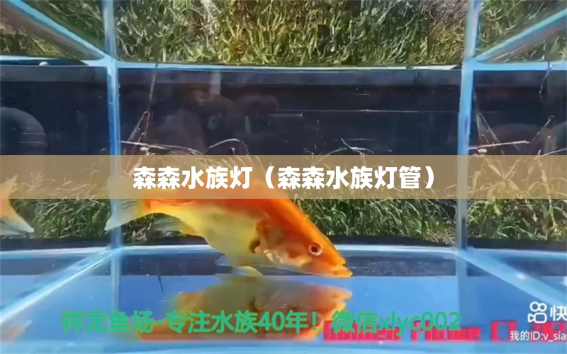 森森水族灯（森森水族灯管）