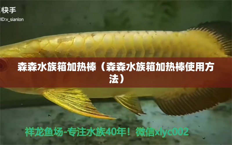 森森水族箱加热棒（森森水族箱加热棒使用方法）