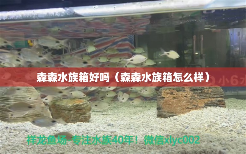 森森水族箱好吗（森森水族箱怎么样）