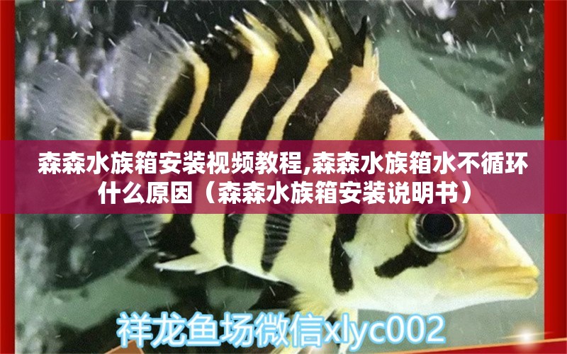 森森水族箱安装视频教程,森森水族箱水不循环什么原因（森森水族箱安装说明书） 鱼缸/水族箱