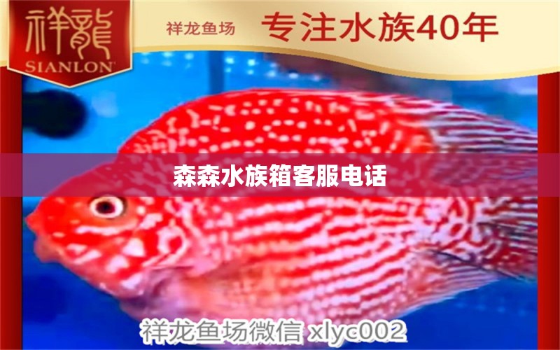 森森水族箱客服电话 森森鱼缸 第2张