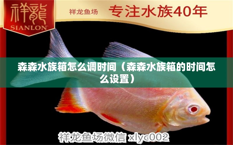 森森水族箱怎么调时间（森森水族箱的时间怎么设置）