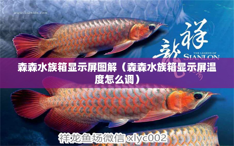 森森水族箱显示屏图解（森森水族箱显示屏温度怎么调） 印尼三纹虎