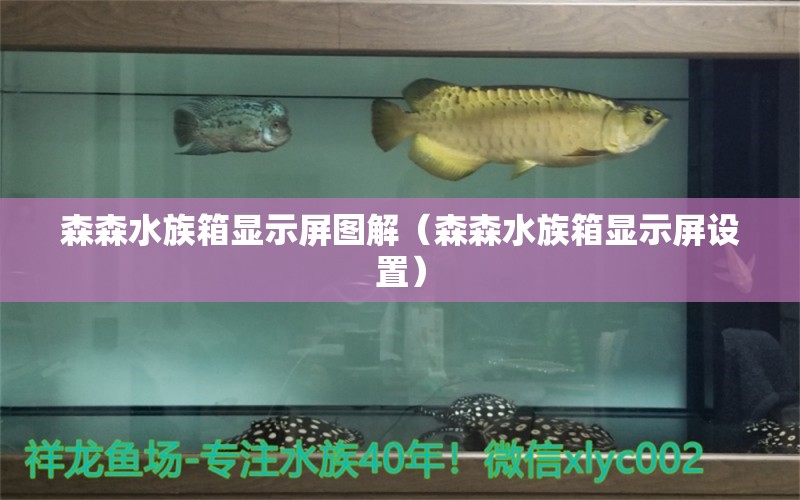 森森水族箱显示屏图解（森森水族箱显示屏设置）