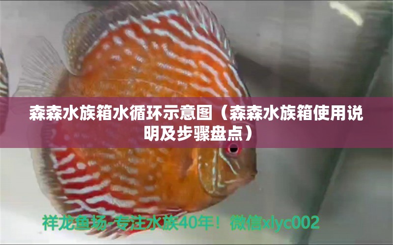 森森水族箱水循环示意图（森森水族箱使用说明及步骤盘点） 鱼缸/水族箱