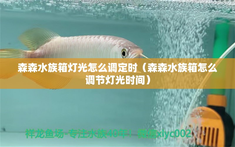 森森水族箱灯光怎么调定时（森森水族箱怎么调节灯光时间）