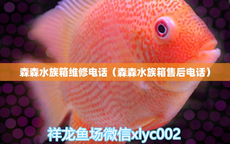 森森水族箱维修电话（森森水族箱售后电话）