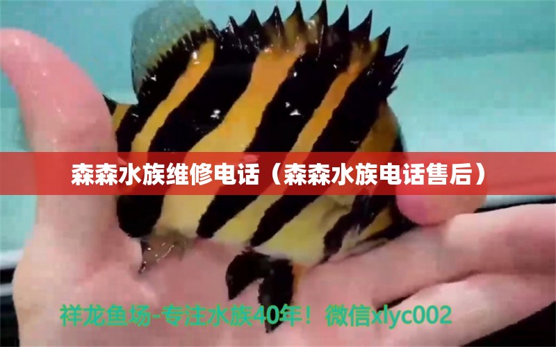 森森水族维修电话（森森水族电话售后）