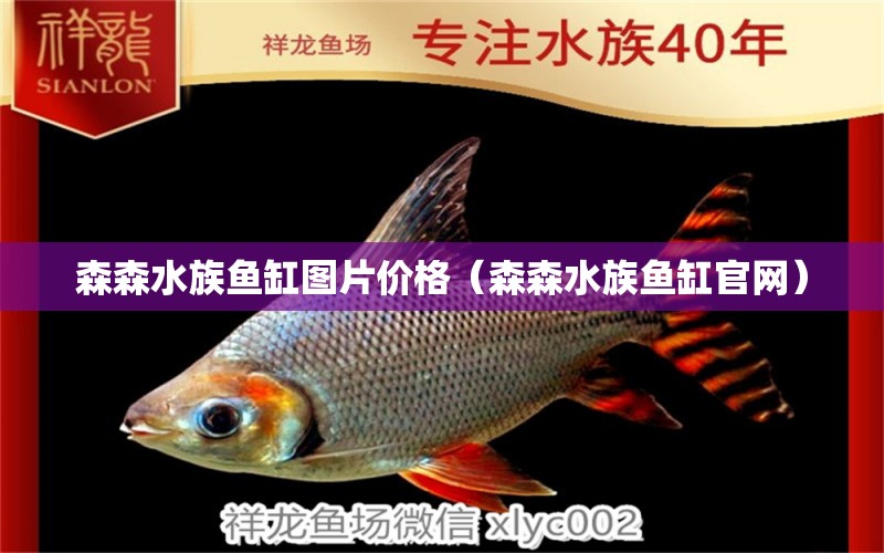 森森水族鱼缸图片价格（森森水族鱼缸官网）