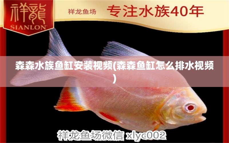 森森水族鱼缸安装视频(森森鱼缸怎么排水视频) 印尼红龙鱼