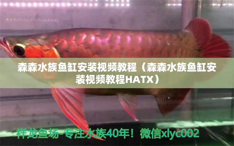 森森水族鱼缸安装视频教程（森森水族鱼缸安装视频教程HATX）