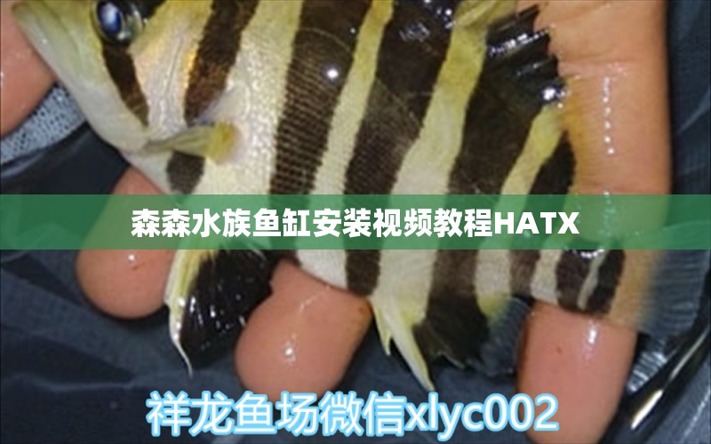 森森水族鱼缸安装视频教程HATX