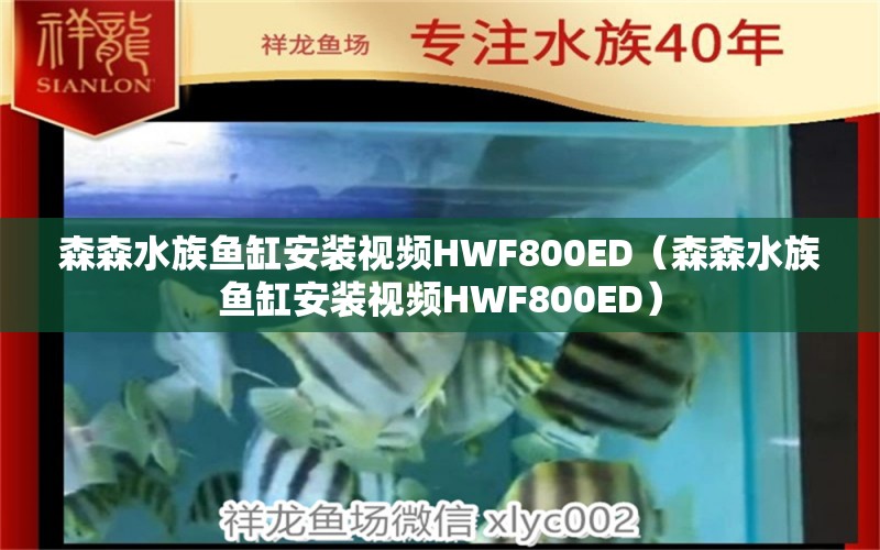 森森水族鱼缸安装视频HWF800ED（森森水族鱼缸安装视频HWF800ED）