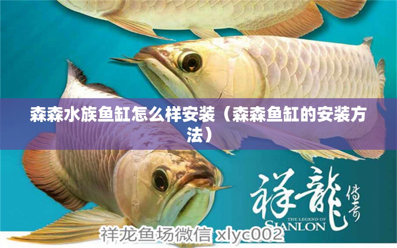 森森水族鱼缸怎么样安装（森森鱼缸的安装方法）