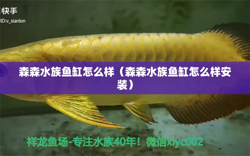 森森水族鱼缸怎么样（森森水族鱼缸怎么样安装）