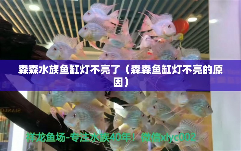 森森水族鱼缸灯不亮了（森森鱼缸灯不亮的原因）