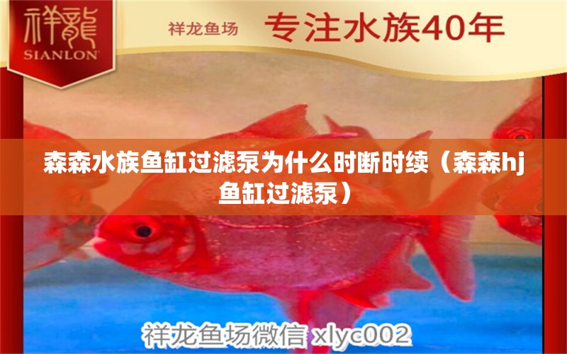 森森水族鱼缸过滤泵为什么时断时续（森森hj鱼缸过滤泵）