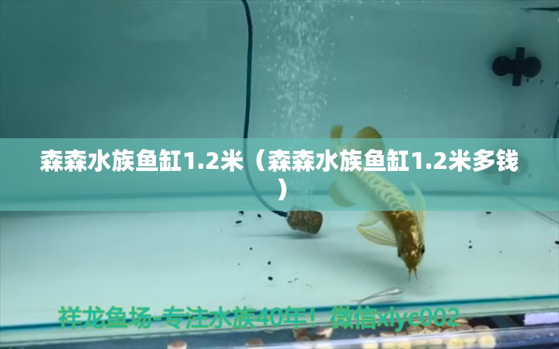 森森水族鱼缸1.2米（森森水族鱼缸1.2米多钱）