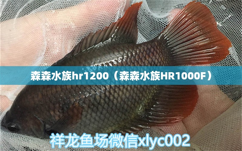 森森水族hr1200（森森水族HR1000F） 森森鱼缸