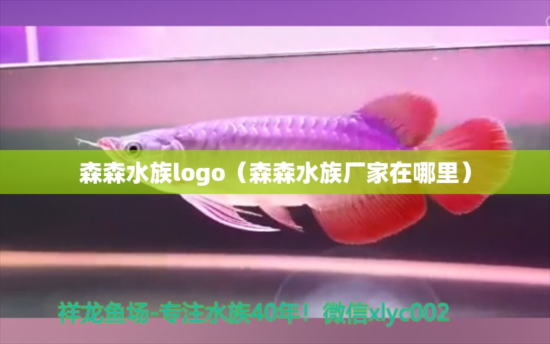 森森水族logo（森森水族厂家在哪里） 森森鱼缸