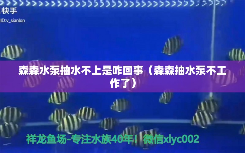 森森水泵抽水不上是咋回事（森森抽水泵不工作了） 三色锦鲤鱼