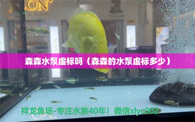 森森水泵虚标吗（森森的水泵虚标多少）