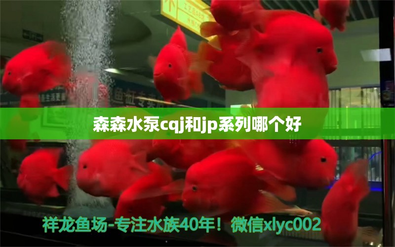 森森水泵cqj和jp系列哪个好 森森鱼缸 第1张