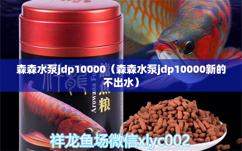 森森水泵jdp10000（森森水泵jdp10000新的不出水）