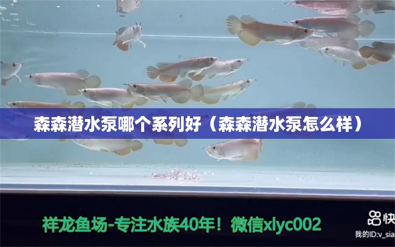 森森潜水泵哪个系列好（森森潜水泵怎么样） 过滤设备