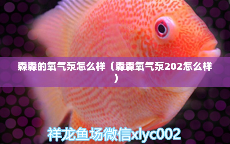 森森的氧气泵怎么样（森森氧气泵202怎么样）