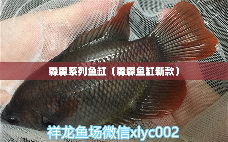 森森系列鱼缸（森森鱼缸新款）